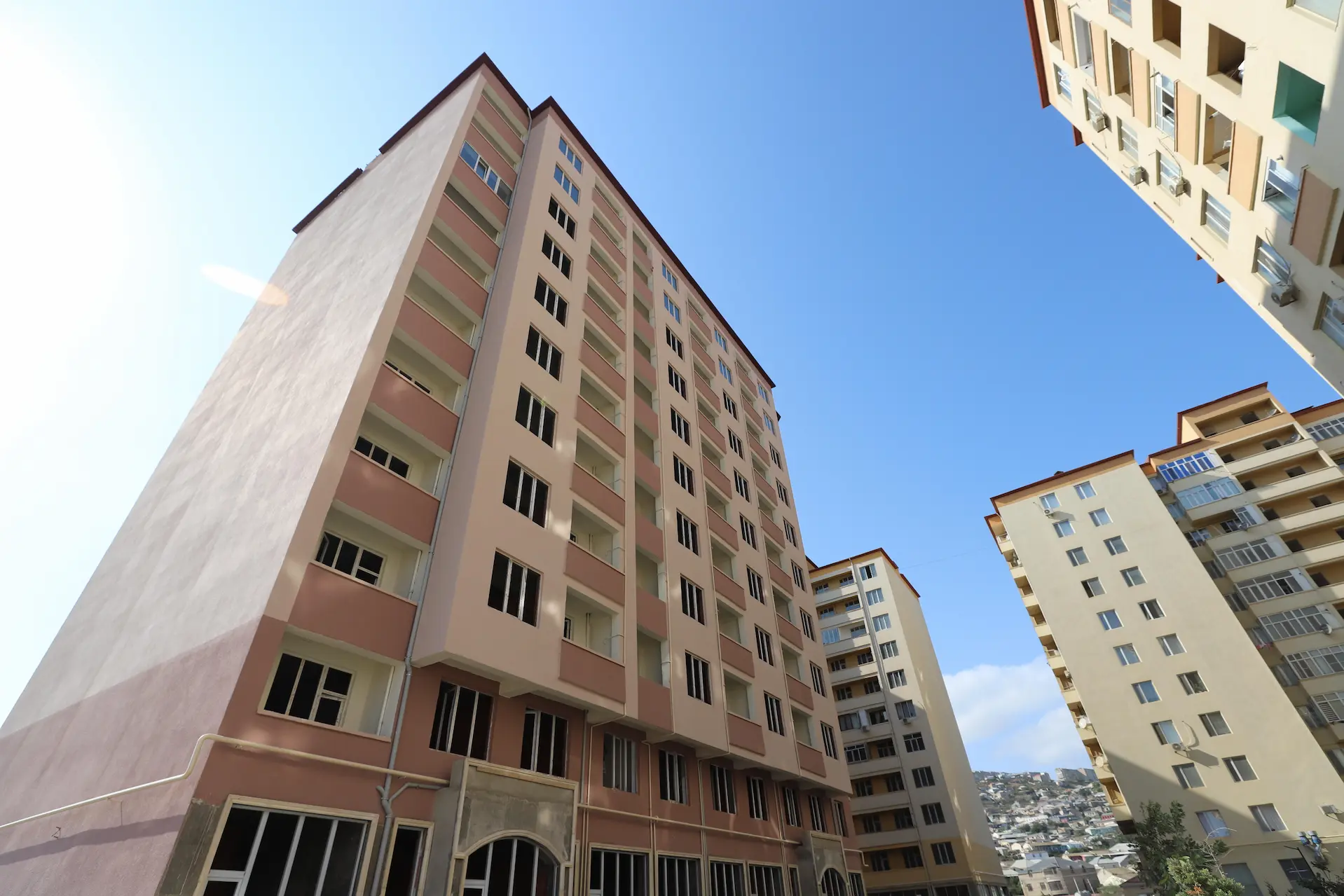 Yeni Zığ Kompleksi